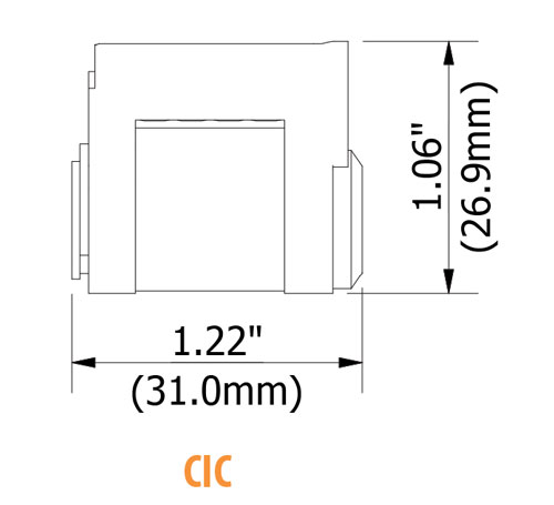 CIC